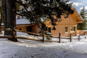 Ferienhaus Petra in Klippitztörl